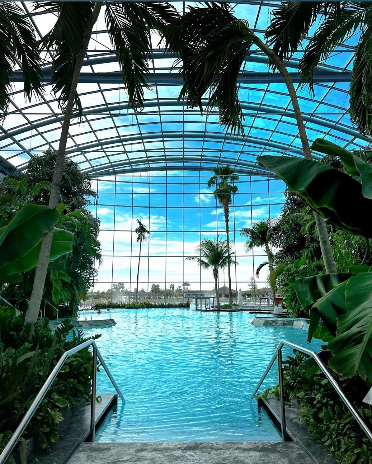 Mona Apartment Taxi#Airport #Parking#Bucharest#Therme Otopeni Extérieur photo
